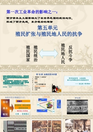 初三历史血腥的资本积累 人教版 课件
