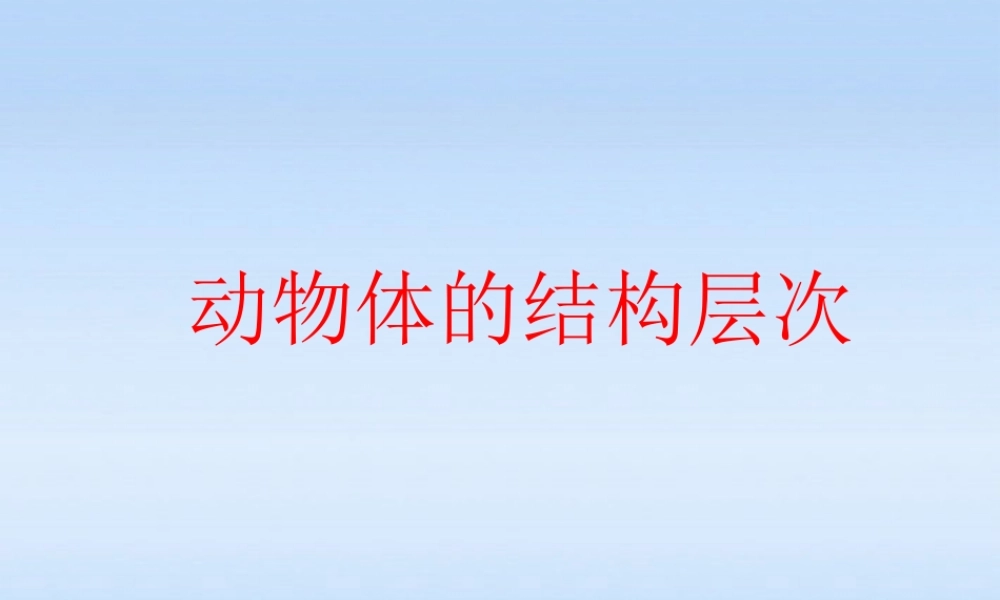 七年级生物上册 动物体的结构层次课件 人教新课标版 课件