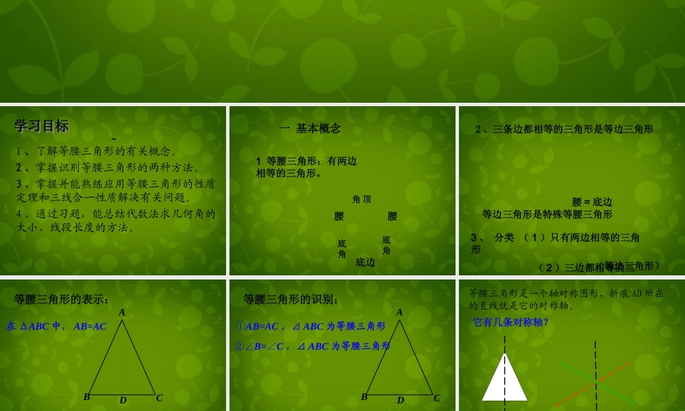 八年级数学上册 12.3 等腰三角形课件 新人教版 课件
