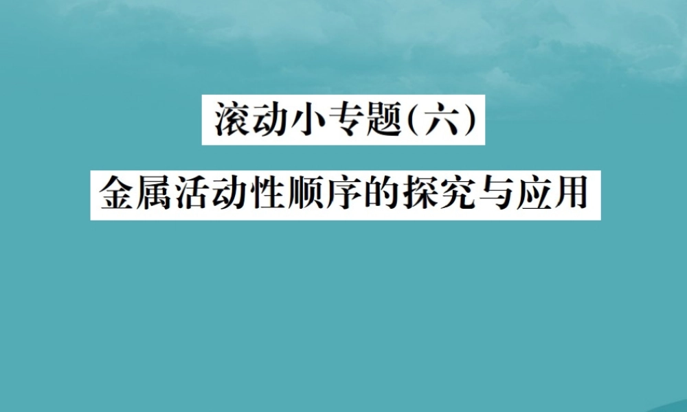 中考化学复习 滚动小专题(六)金属活动性顺序的探究与应用课件 鲁教版 课件