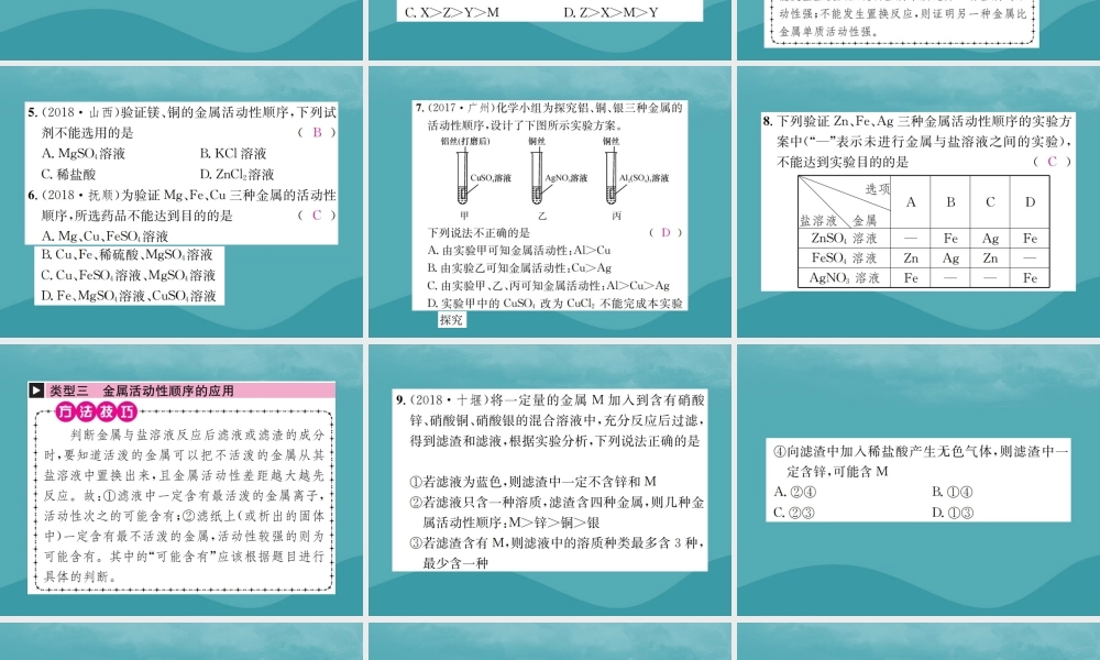 中考化学复习 滚动小专题(六)金属活动性顺序的探究与应用课件 鲁教版 课件