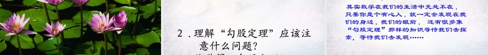 八年级数学下册 第17章 勾股定理课件 新人教版 课件