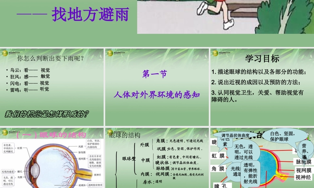 八年级生物下册 第六章 人体对外界环境感知配套课件2 鲁科版 课件