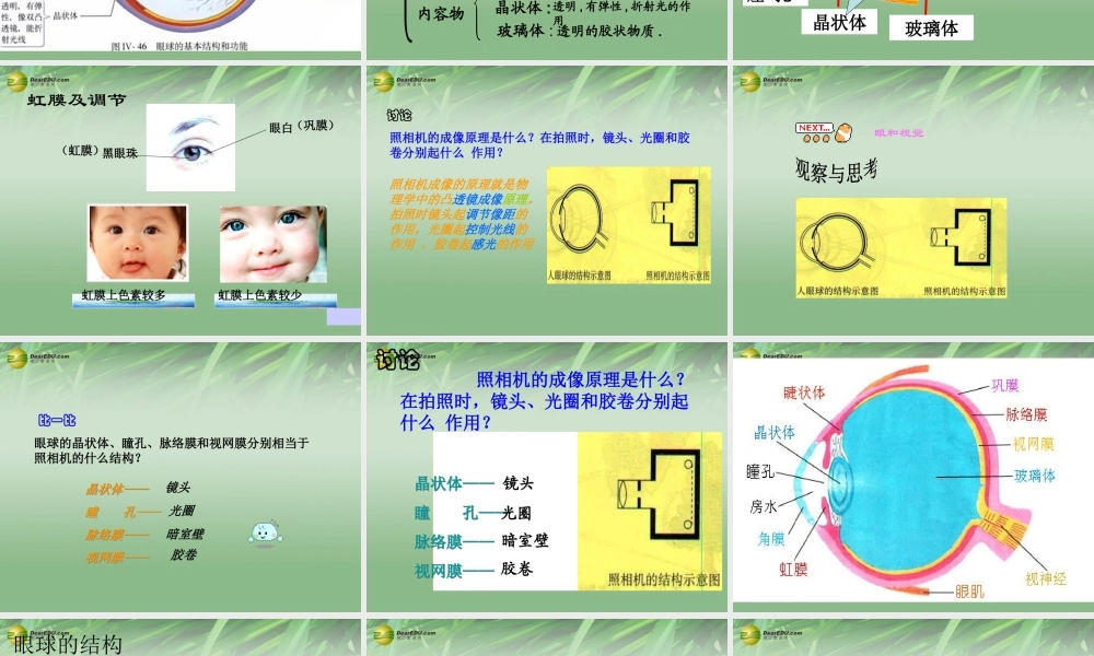 八年级生物下册 第六章 人体对外界环境感知配套课件2 鲁科版 课件