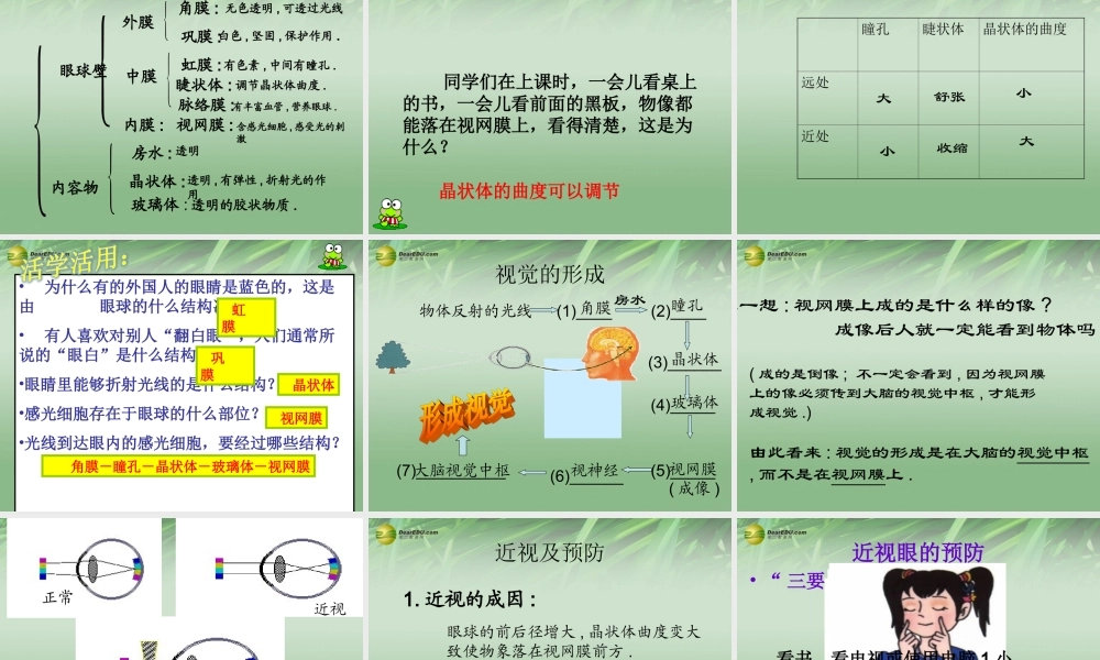 八年级生物下册 第六章 人体对外界环境感知配套课件2 鲁科版 课件