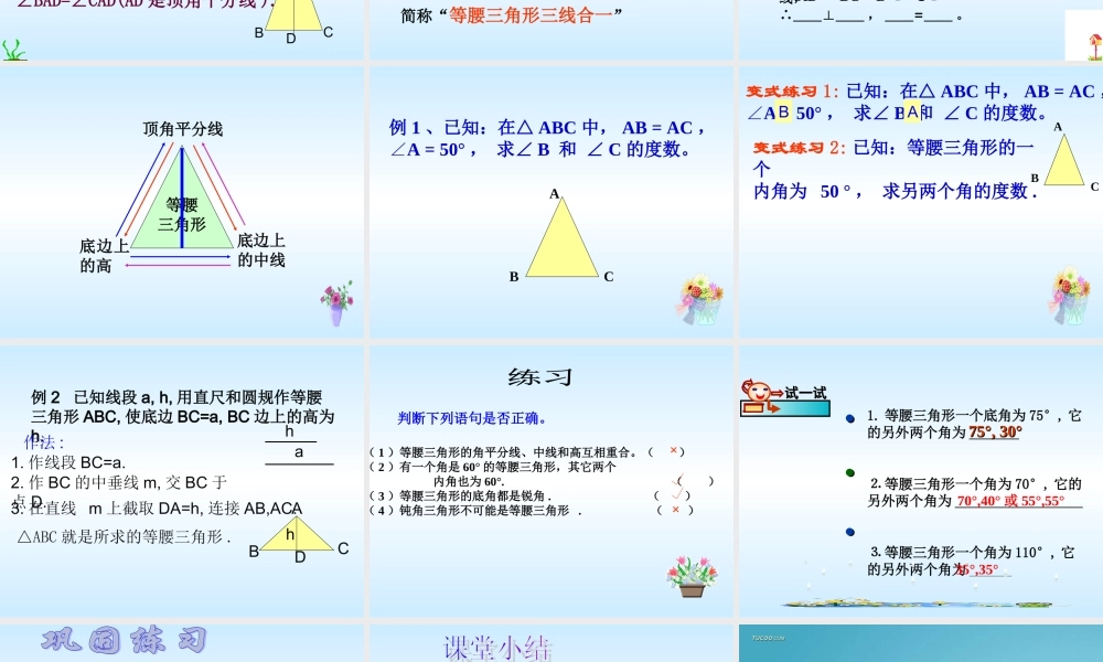 八年级数学等腰三角形的性质课件5 浙教版 课件