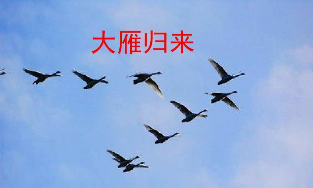 八年级语文下册 14 大雁归来课件 (新版)新人教版 课件