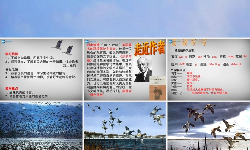 八年级语文下册 14 大雁归来课件 (新版)新人教版 课件