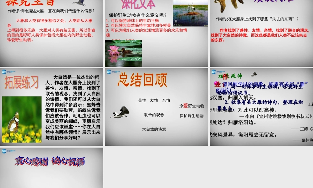 八年级语文下册 14 大雁归来课件 (新版)新人教版 课件