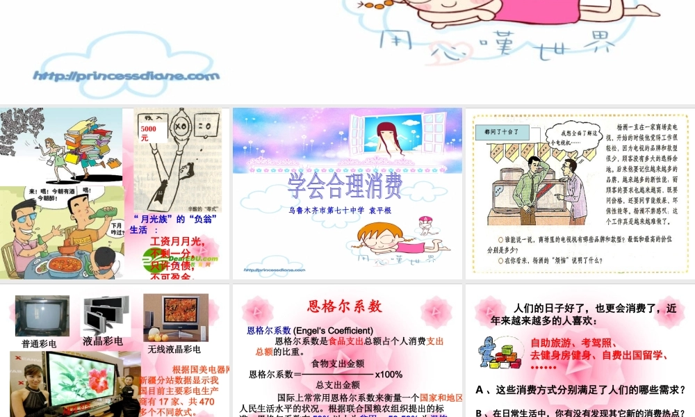 九年级政治 第七课第三框(学会合理消费)课件 人教版 课件