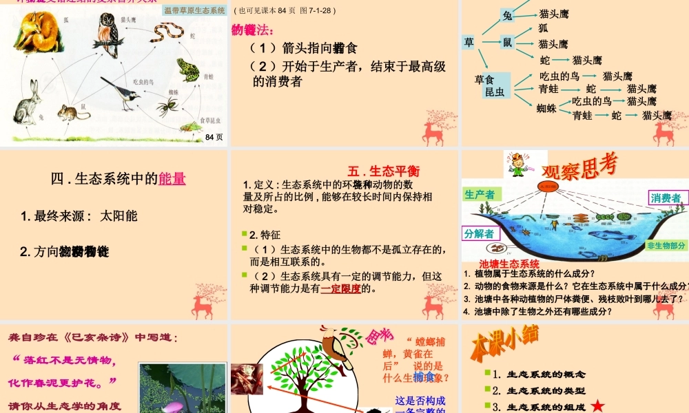 八年级生物下册 第七单元 生物与环境 第三章 人类与自然界的协调和发展 7.3.4 保护生态环境课件(新版)冀教版 课件