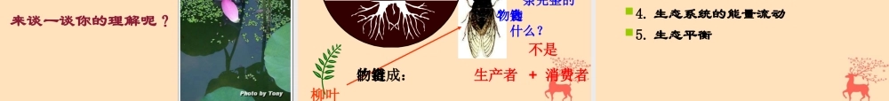 八年级生物下册 第七单元 生物与环境 第三章 人类与自然界的协调和发展 7.3.4 保护生态环境课件(新版)冀教版 课件