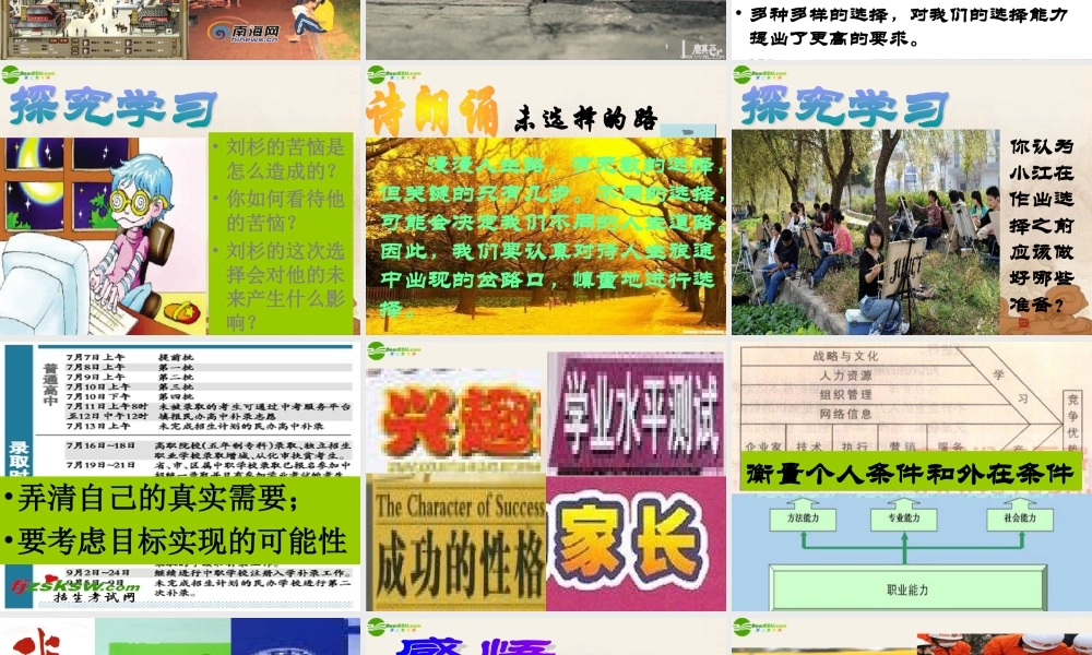 九年级政治 第十课第三框未来道路我选择课件 人教新课标版 课件