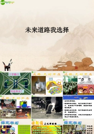九年级政治 第十课第三框未来道路我选择课件 人教新课标版 课件