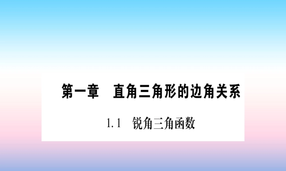 九年级数学下册 第1章 直角三角形的边角关系 11(锐角三角函数)课堂导练课件(含中考真题)(新版)北师大版 课件