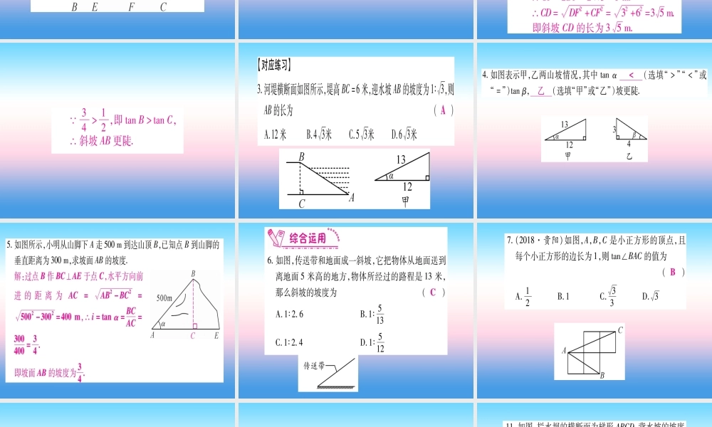九年级数学下册 第1章 直角三角形的边角关系 11(锐角三角函数)课堂导练课件(含中考真题)(新版)北师大版 课件