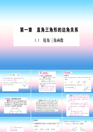 九年级数学下册 第1章 直角三角形的边角关系 11(锐角三角函数)课堂导练课件(含中考真题)(新版)北师大版 课件