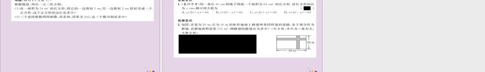 九年级数学上册 第二章 一元二次方程 1 认识一元二次方程(练习手册)课件 (新版)北师大版 课件