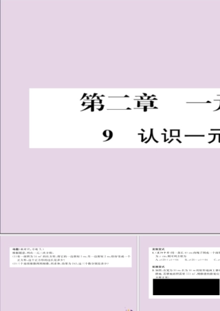 九年级数学上册 第二章 一元二次方程 1 认识一元二次方程(练习手册)课件 (新版)北师大版 课件