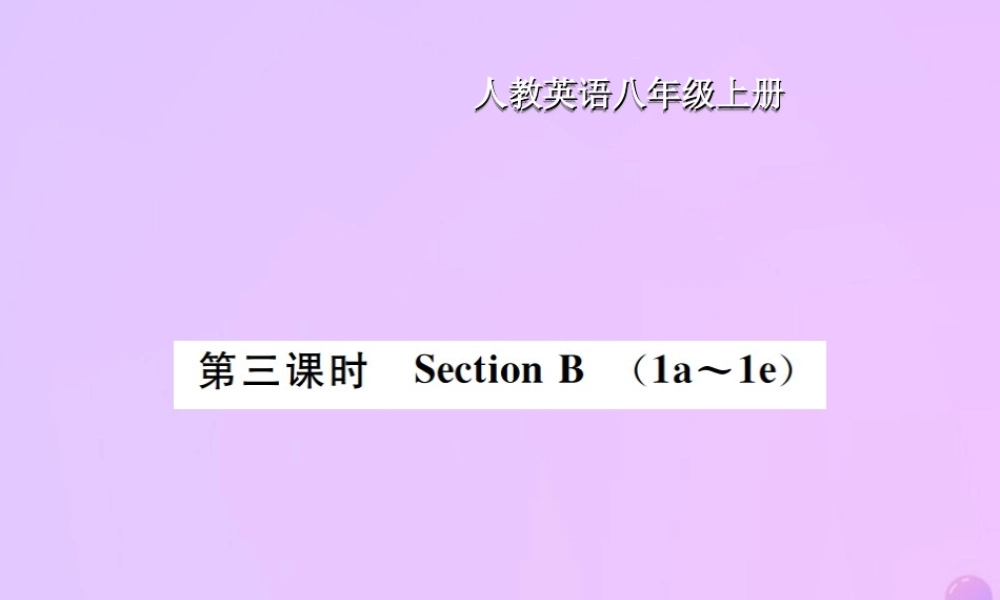 八年级英语上册 Unit 9 Can you come to my party(第3课时)Section B习题课件 (新版)人教新目标版 课件