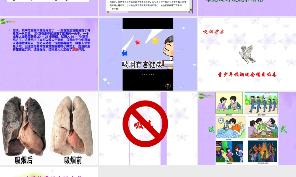 八年级生物下册 (选择健康的生活方式)PPT课件 人教新课标版 课件