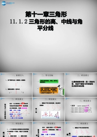广东省怀集县八年级数学上册 11.1.2 三角形的高、中线与角平分线课件 (新版)新人教版 课件