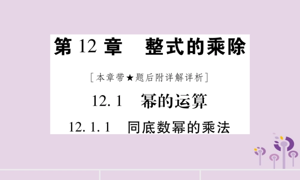 八年级数学上册 第12章 整式的乘除 12.1 幂的运算 12.1.1 同底数幂的乘法作业课件 (新版)华东师大版 课件