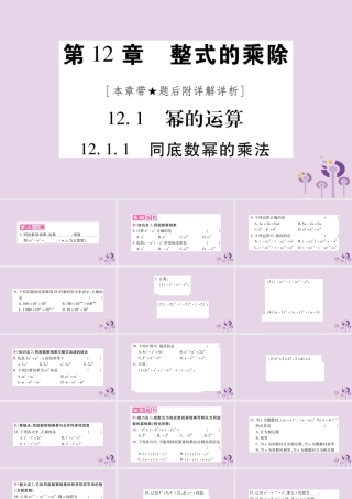 八年级数学上册 第12章 整式的乘除 12.1 幂的运算 12.1.1 同底数幂的乘法作业课件 (新版)华东师大版 课件