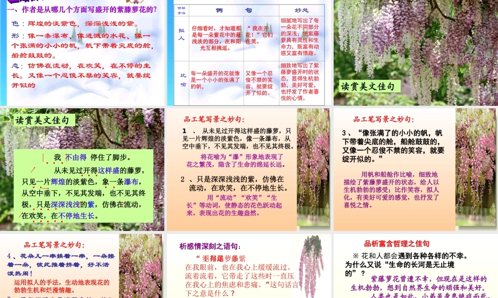 七年级语文上册 第一单元第4课(紫藤萝瀑布)课件 人教新课标版 课件