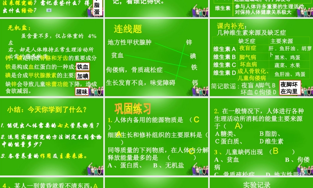 九年级科学上册 第四章第一节食物与摄食第一课时课件 浙教版 课件