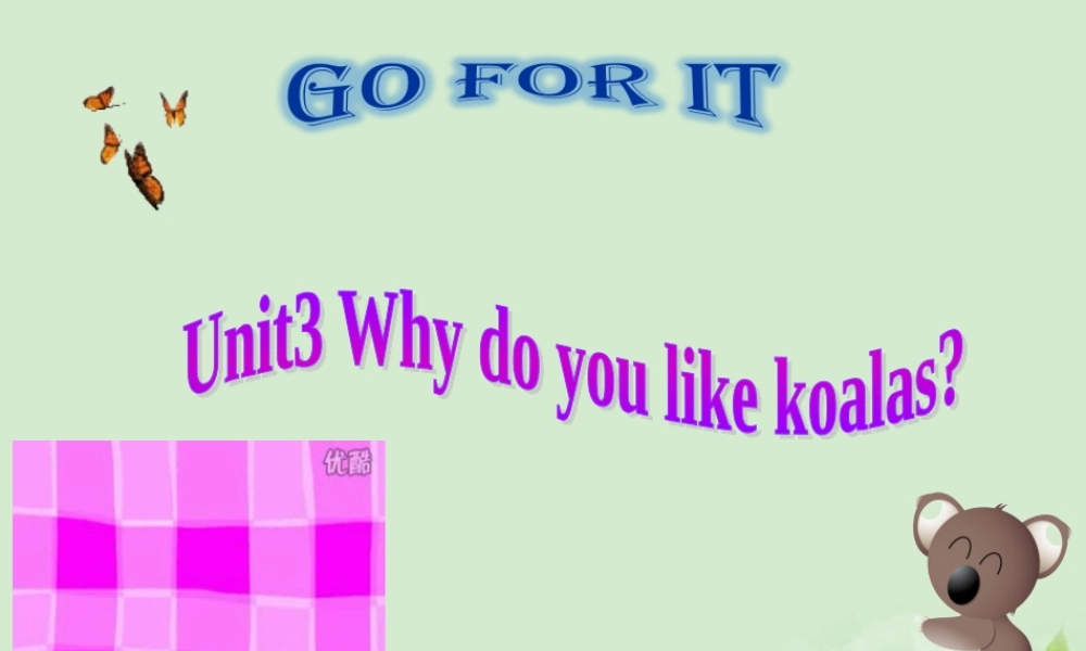 七年级英语 why do you like koalas课件 人教新目标版 课件