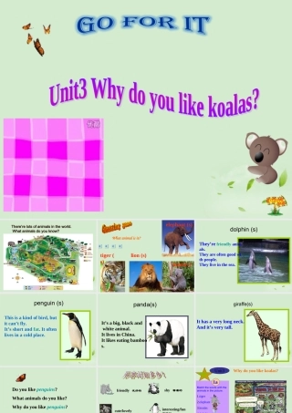 七年级英语 why do you like koalas课件 人教新目标版 课件