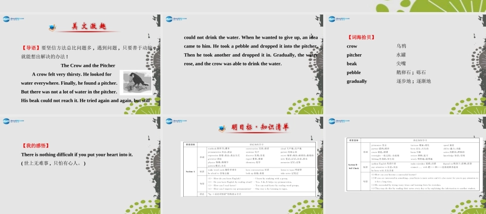 九年级英语全册 Unit 1 How can we become good learners？课件 (新版)人教新目标版 课件