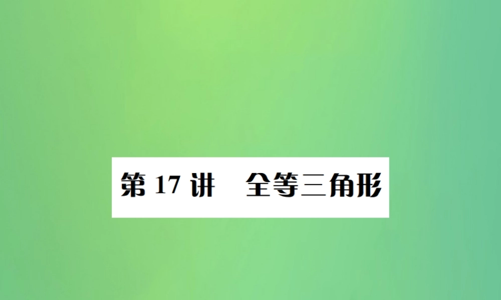 中考数学复习 第四单元 图形的初步认识与三角形 第17讲 全等三角形课件