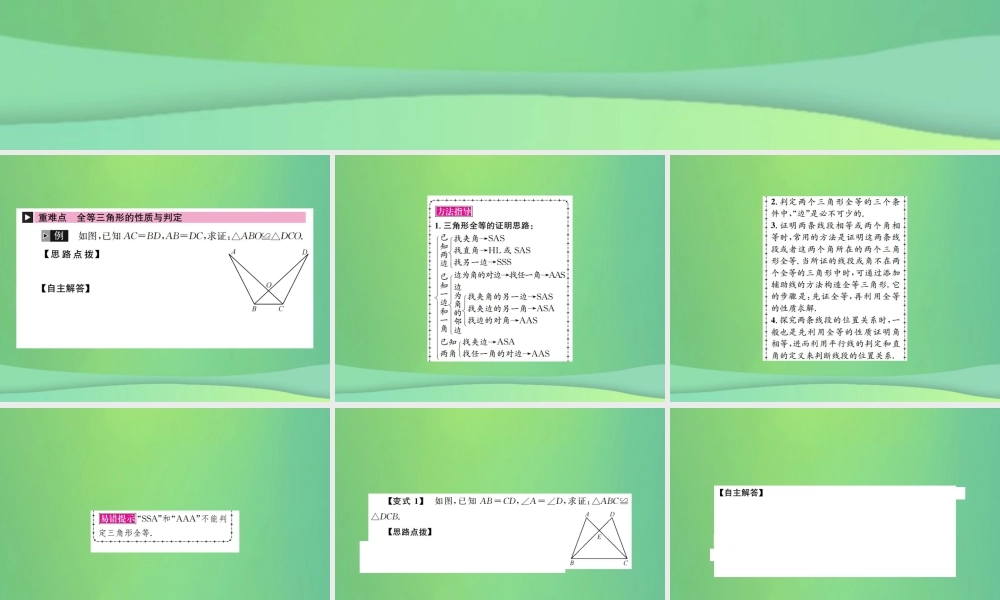 中考数学复习 第四单元 图形的初步认识与三角形 第17讲 全等三角形课件