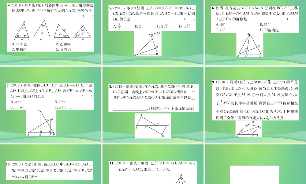 中考数学复习 第四单元 图形的初步认识与三角形 第17讲 全等三角形课件