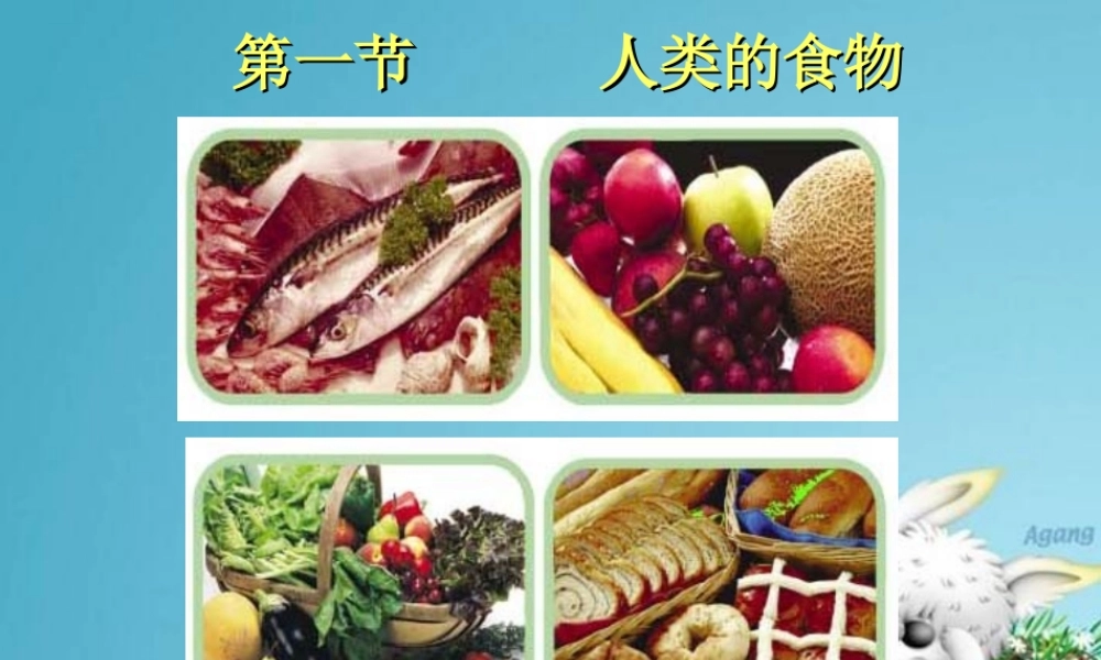 七年级生物下册 人类的食物课件 北师大版 课件