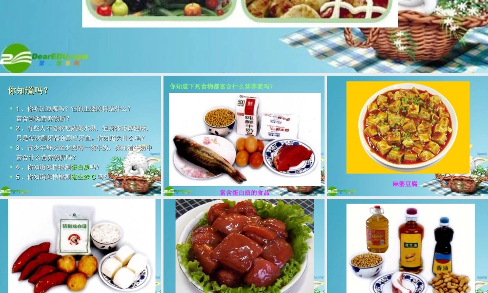 七年级生物下册 人类的食物课件 北师大版 课件