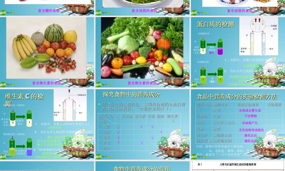 七年级生物下册 人类的食物课件 北师大版 课件
