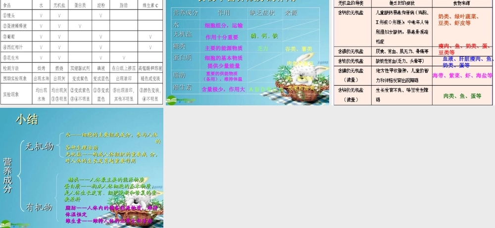 七年级生物下册 人类的食物课件 北师大版 课件
