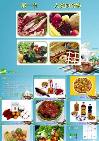 七年级生物下册 人类的食物课件 北师大版 课件