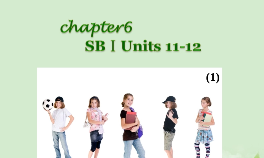 广西省高考英语轮一轮复习 Chapter6 SBⅠUnits 11～121课件