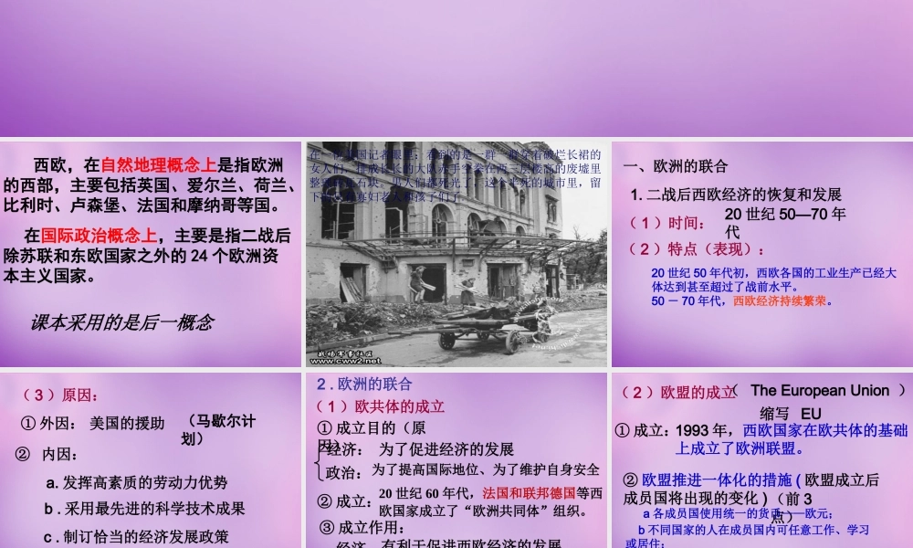中学九年级历史下册 第9课 西欧和日本经济的发展课件 新人教版 课件