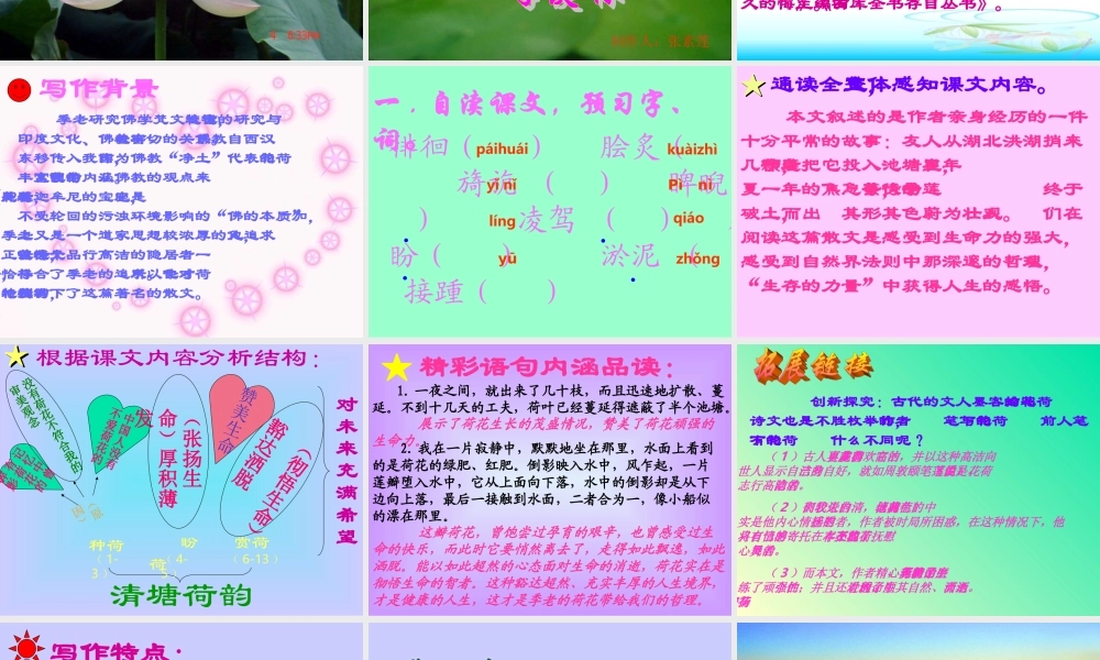 八年级语文下册(清塘荷韵)课件 北师大版 课件