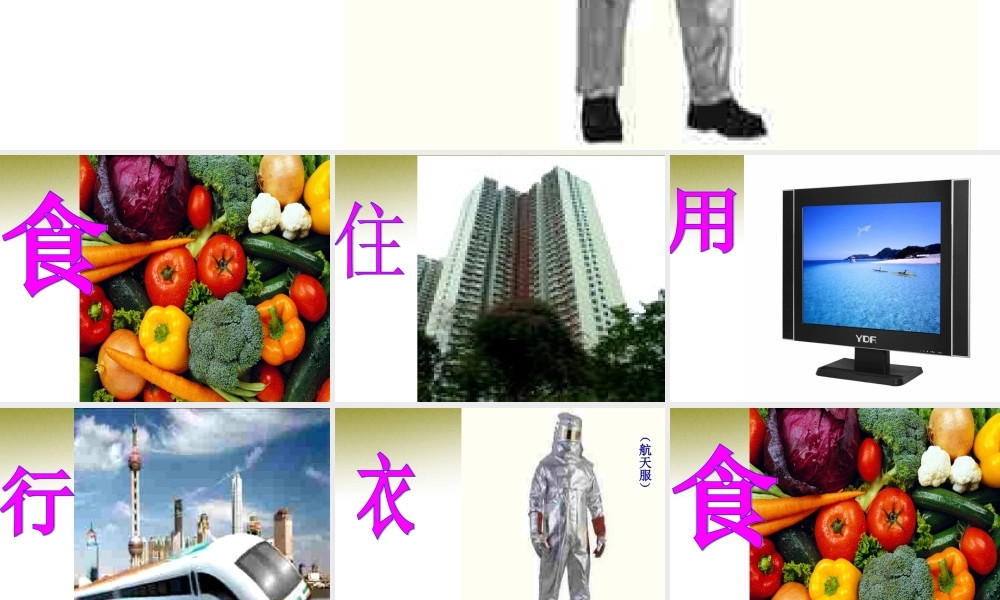 八年级政治下册 第十四课第二节搭起创新的桥梁课件 鲁教版 课件