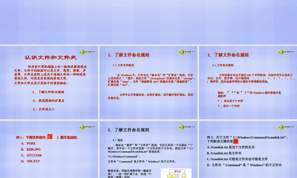 四川省七年级信息技术下册 第2课(文件与文件夹)课件 新人教版 课件