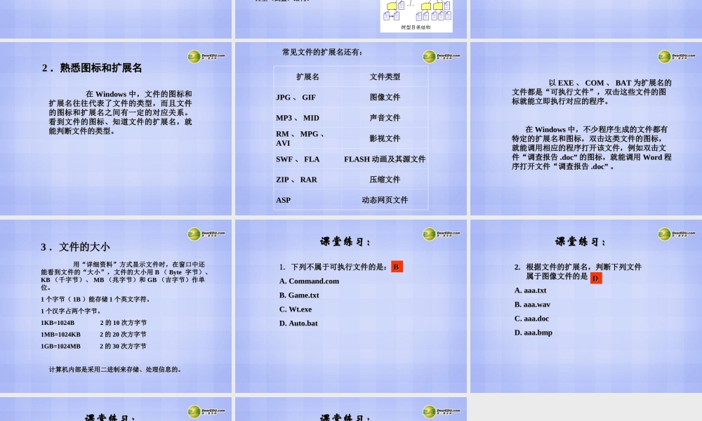 四川省七年级信息技术下册 第2课(文件与文件夹)课件 新人教版 课件