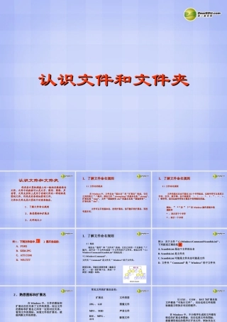 四川省七年级信息技术下册 第2课(文件与文件夹)课件 新人教版 课件