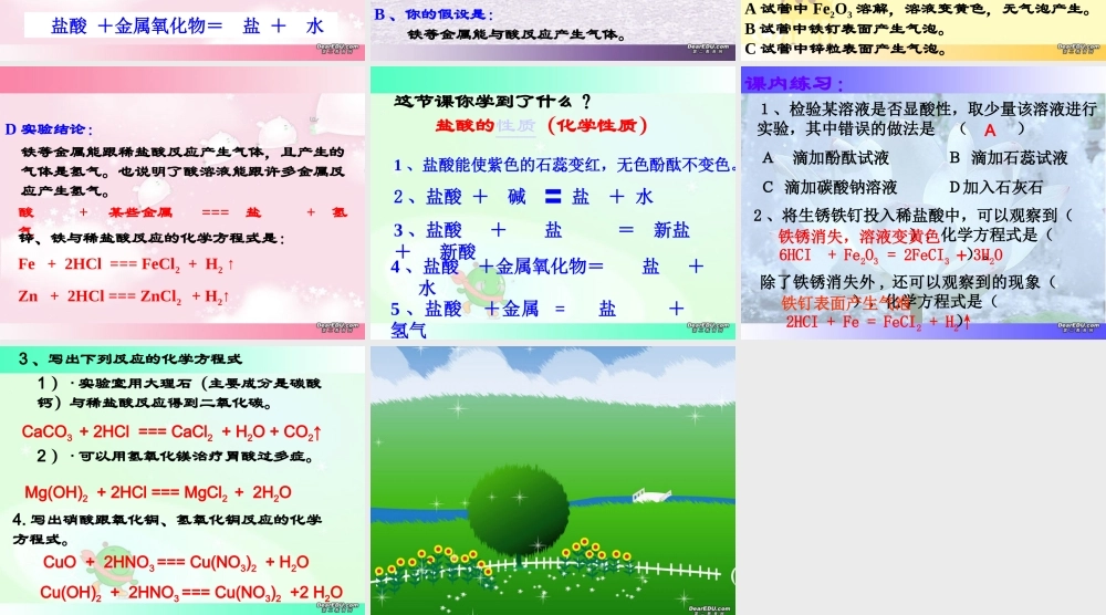 探索酸的性质第3课时 浙教版 课件