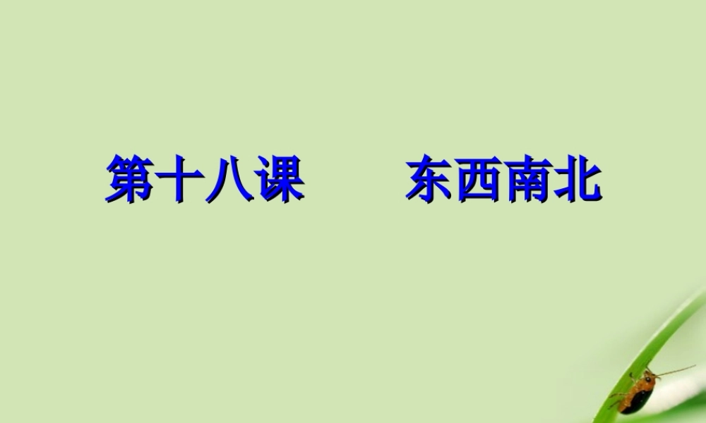 九年级政治 第十八课东西南北课件 鲁教版 课件